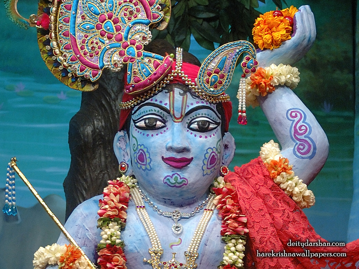 Sri Gopal Close up Wallpaper (038) Size1200x900 Download