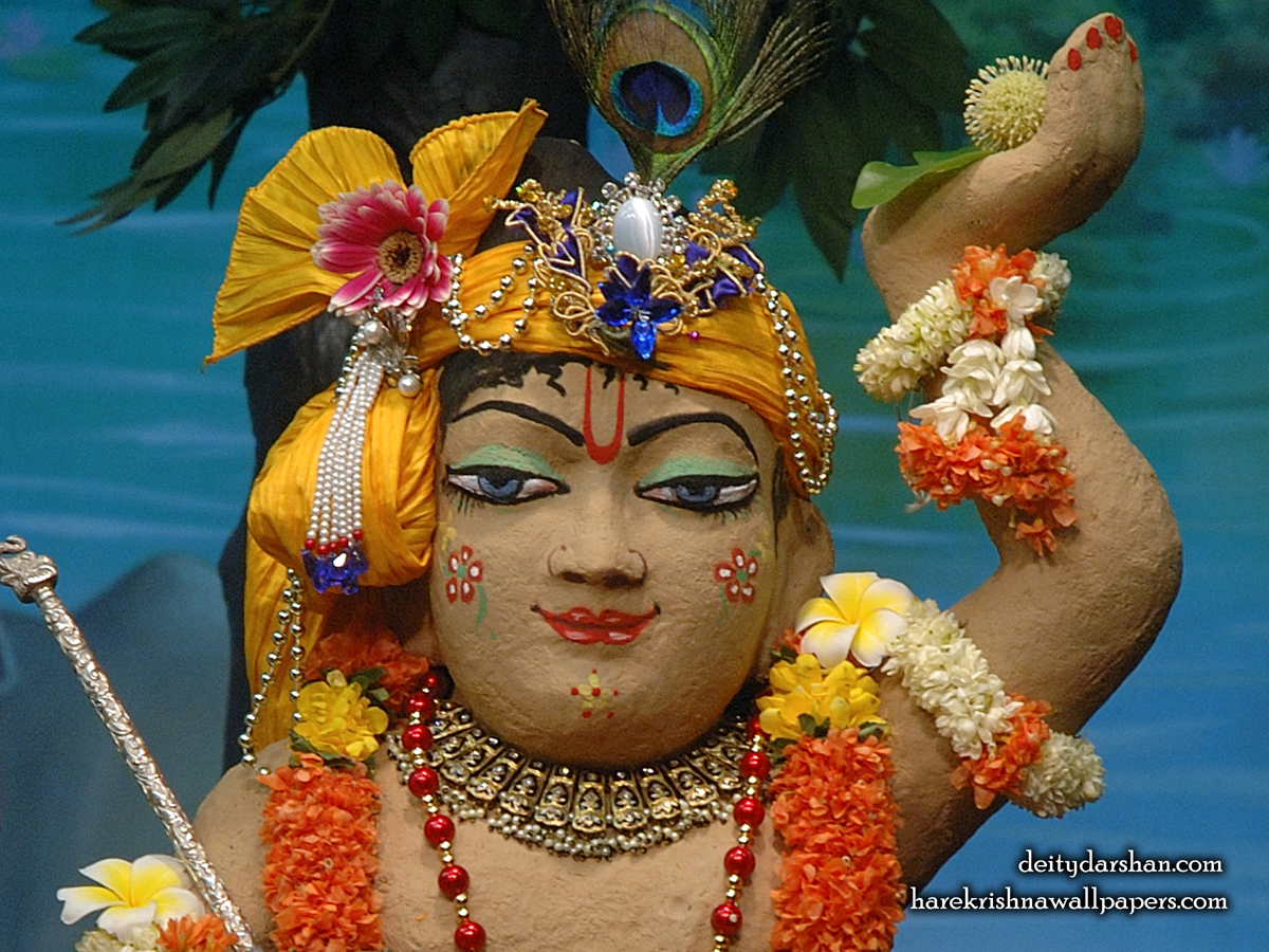Sri Gopal Close up Wallpaper (039) Size1200x900 Download