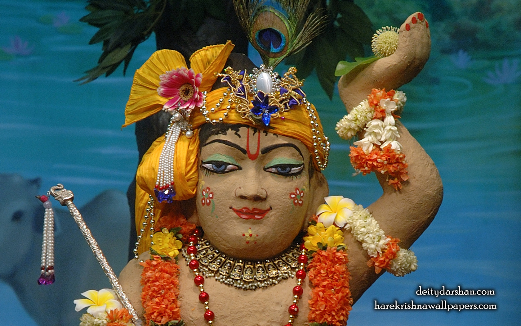 Sri Gopal Close up Wallpaper (039) Size 1680x1050 Download