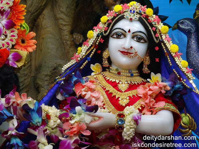 Srimati Radharani Close up Wallpaper (039)