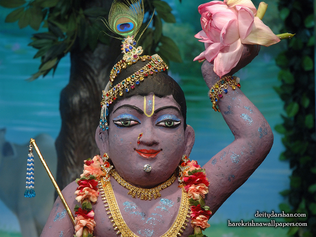 Sri Gopal Close up Wallpaper (040) Size 1024x768 Download