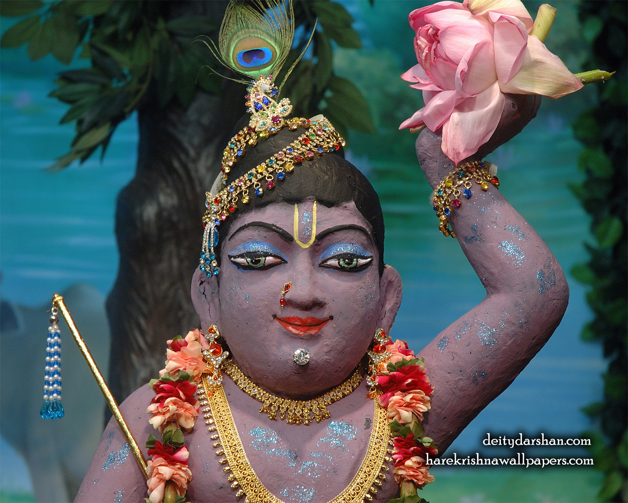 Sri Gopal Close up Wallpaper (040) Size 1280x1024 Download