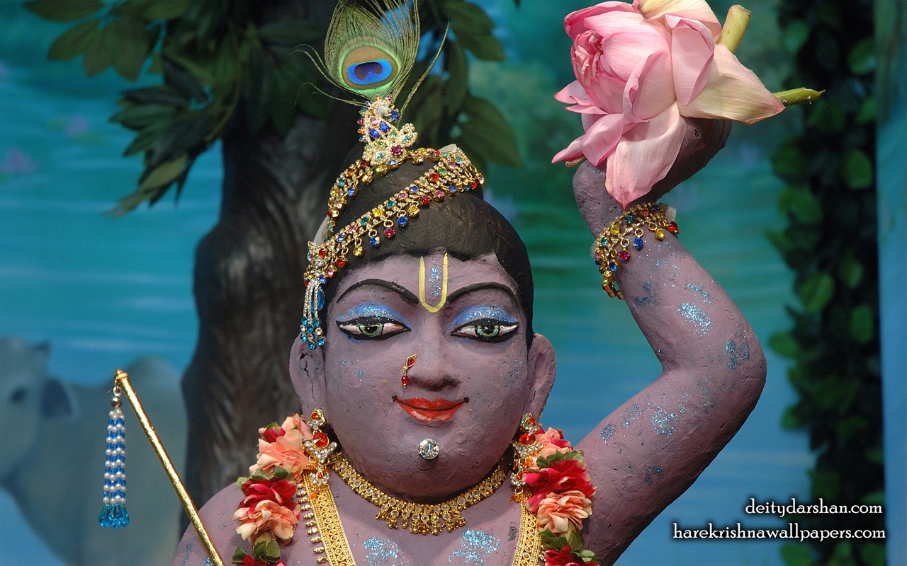 Sri Gopal Close up Wallpaper (040) Size 1280x800 Download