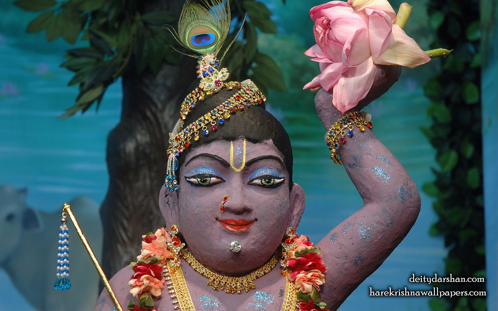 Sri Gopal Close up Wallpaper (040) Size 1680x1050 Download