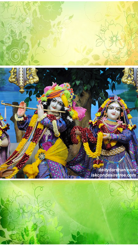 Sri Sri Radha Gopinath Close up Wallpaper (040) Size 450x800 Download