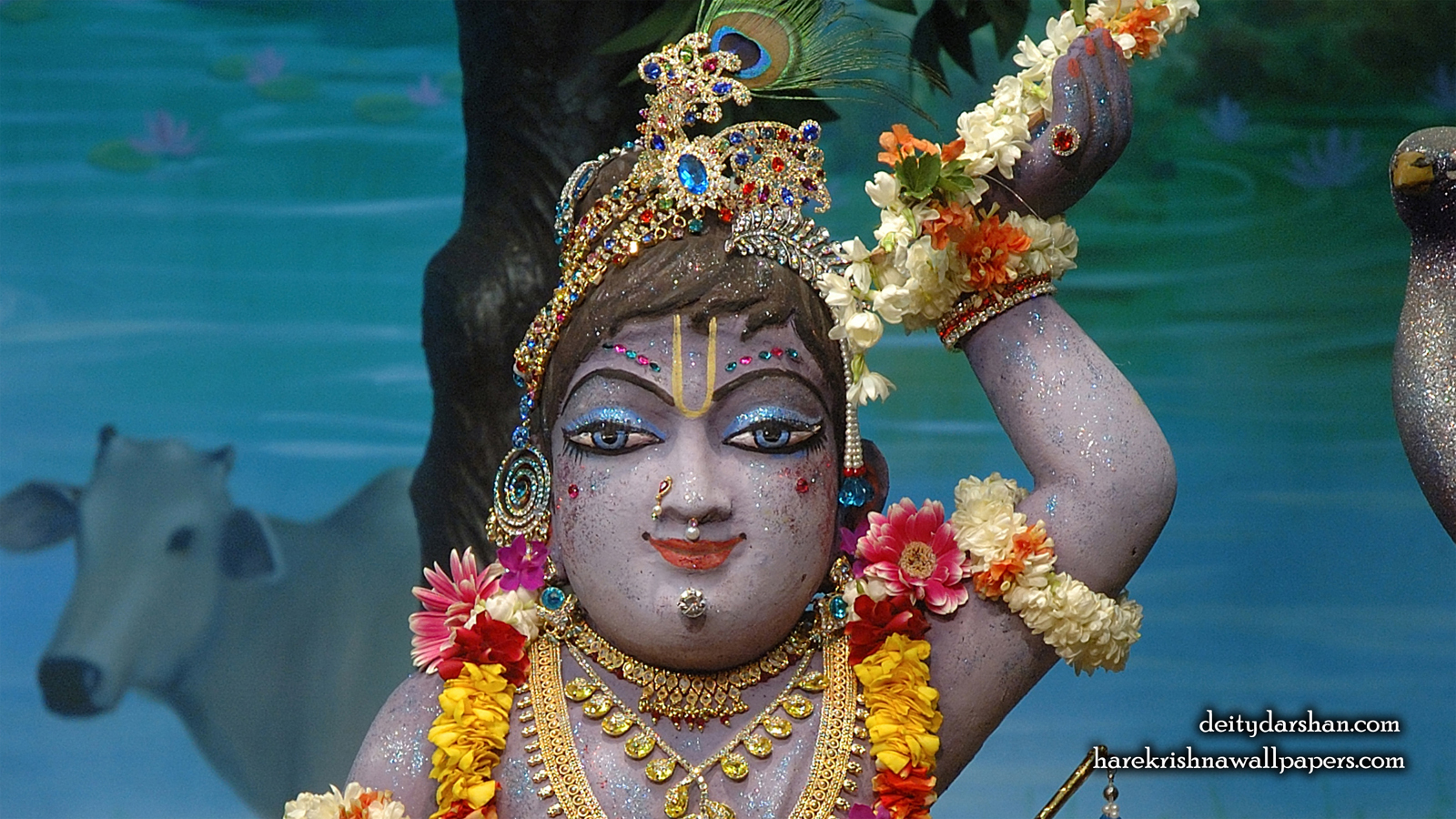 Sri Gopal Close up Wallpaper (041) Size 1600x900 Download