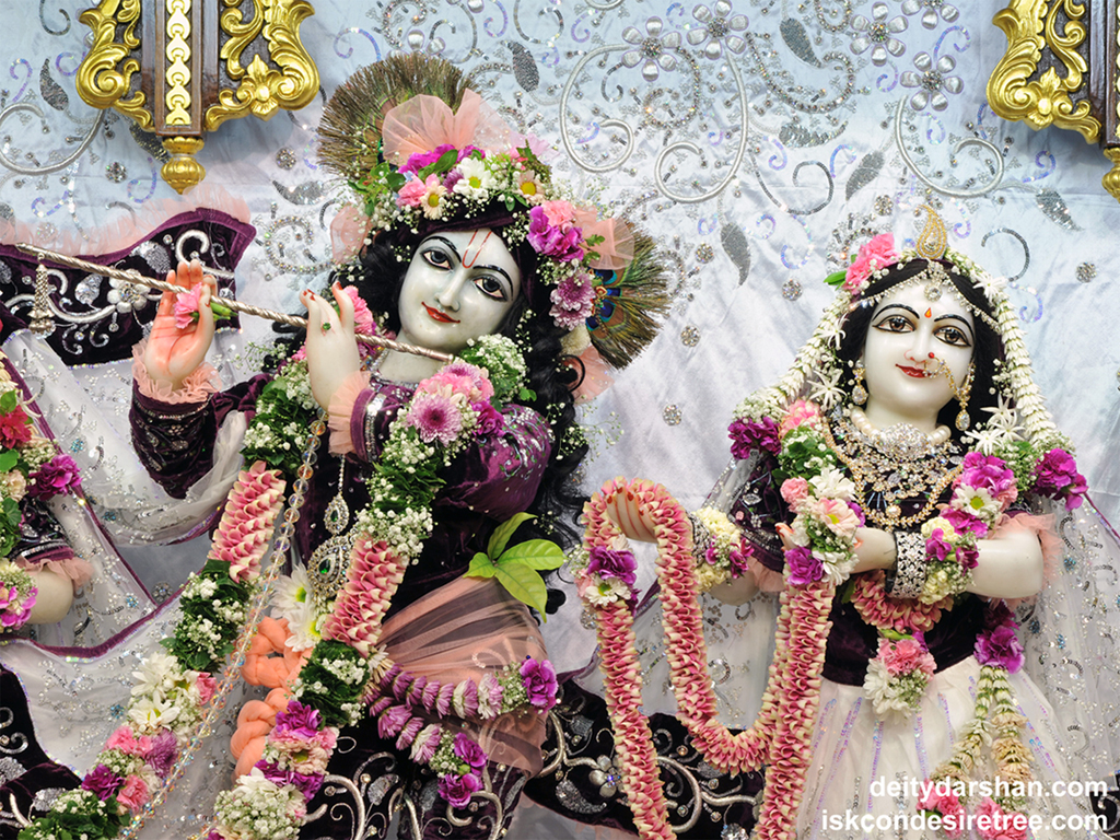 Sri Sri Radha Gopinath Close up Wallpaper (041) Size 1024x768 Download