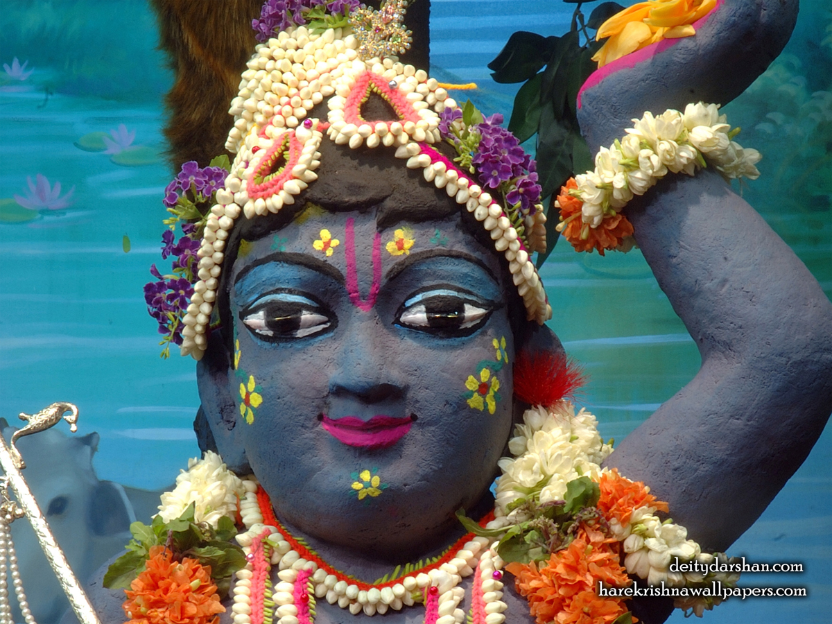 Sri Gopal Close up Wallpaper (043) Size1200x900 Download