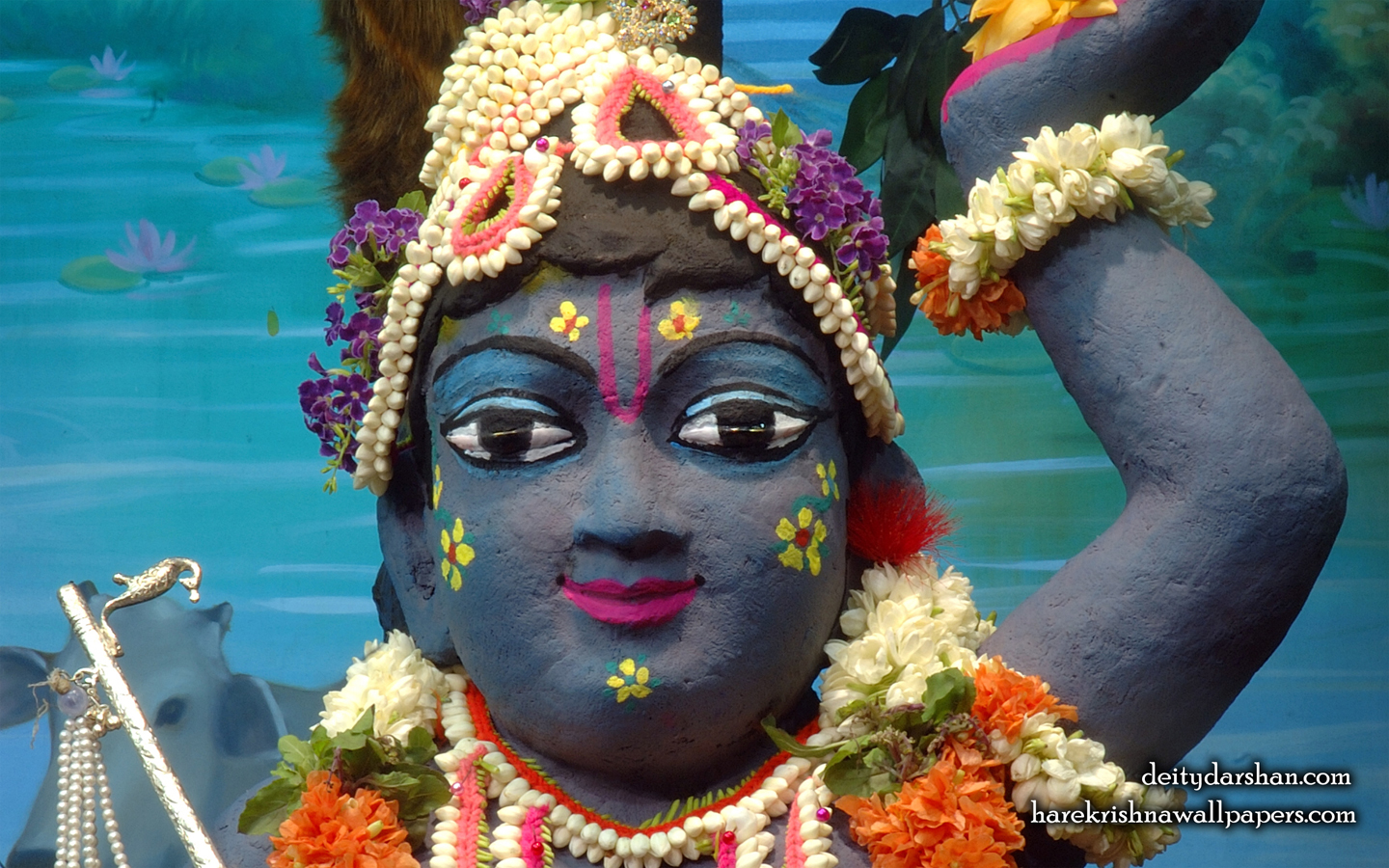 Sri Gopal Close up Wallpaper (043) Size 1440x900 Download