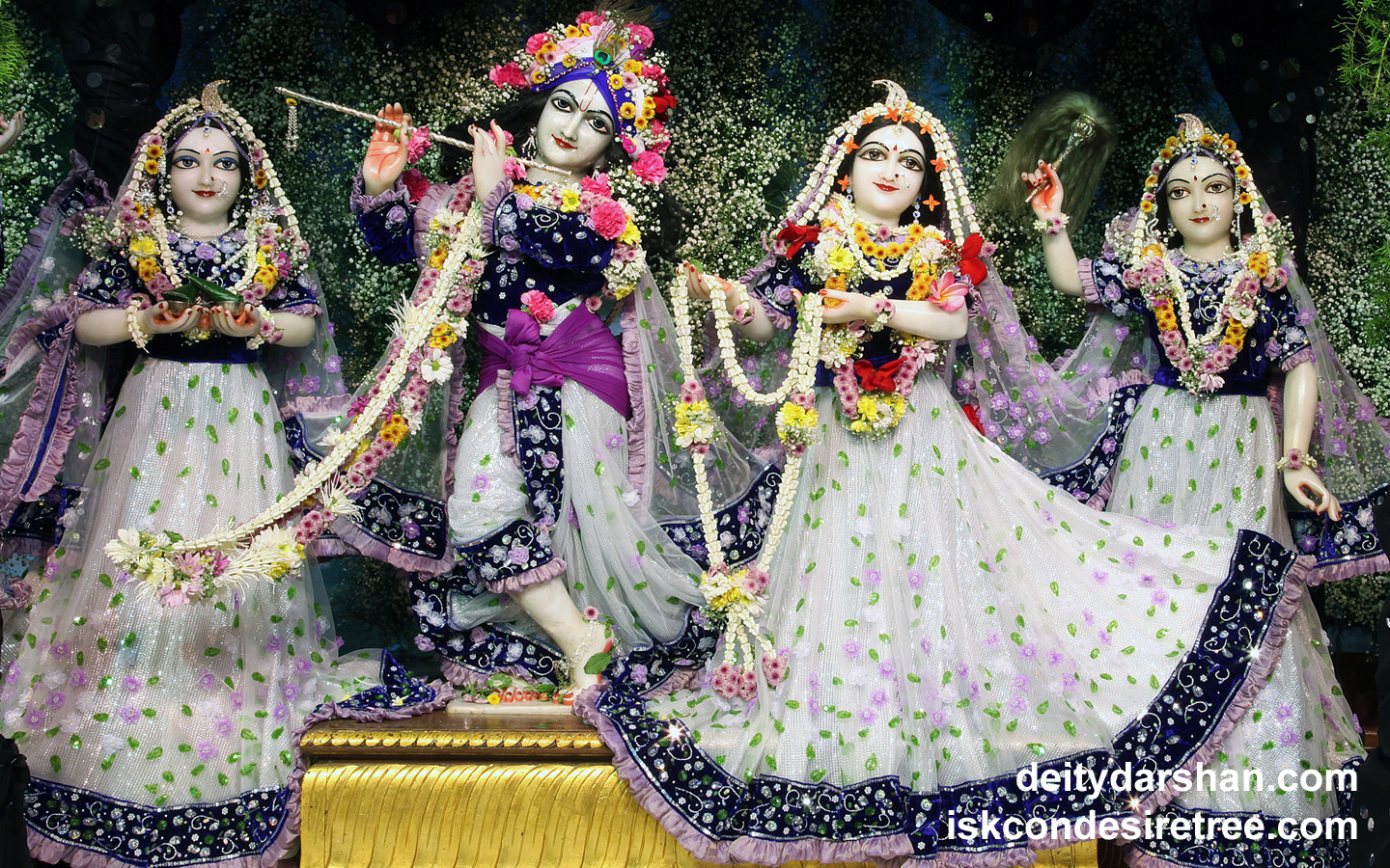 Sri Sri Radha Gopinath Lalita Vishakha Wallpaper (043) Size 1440x900 Download
