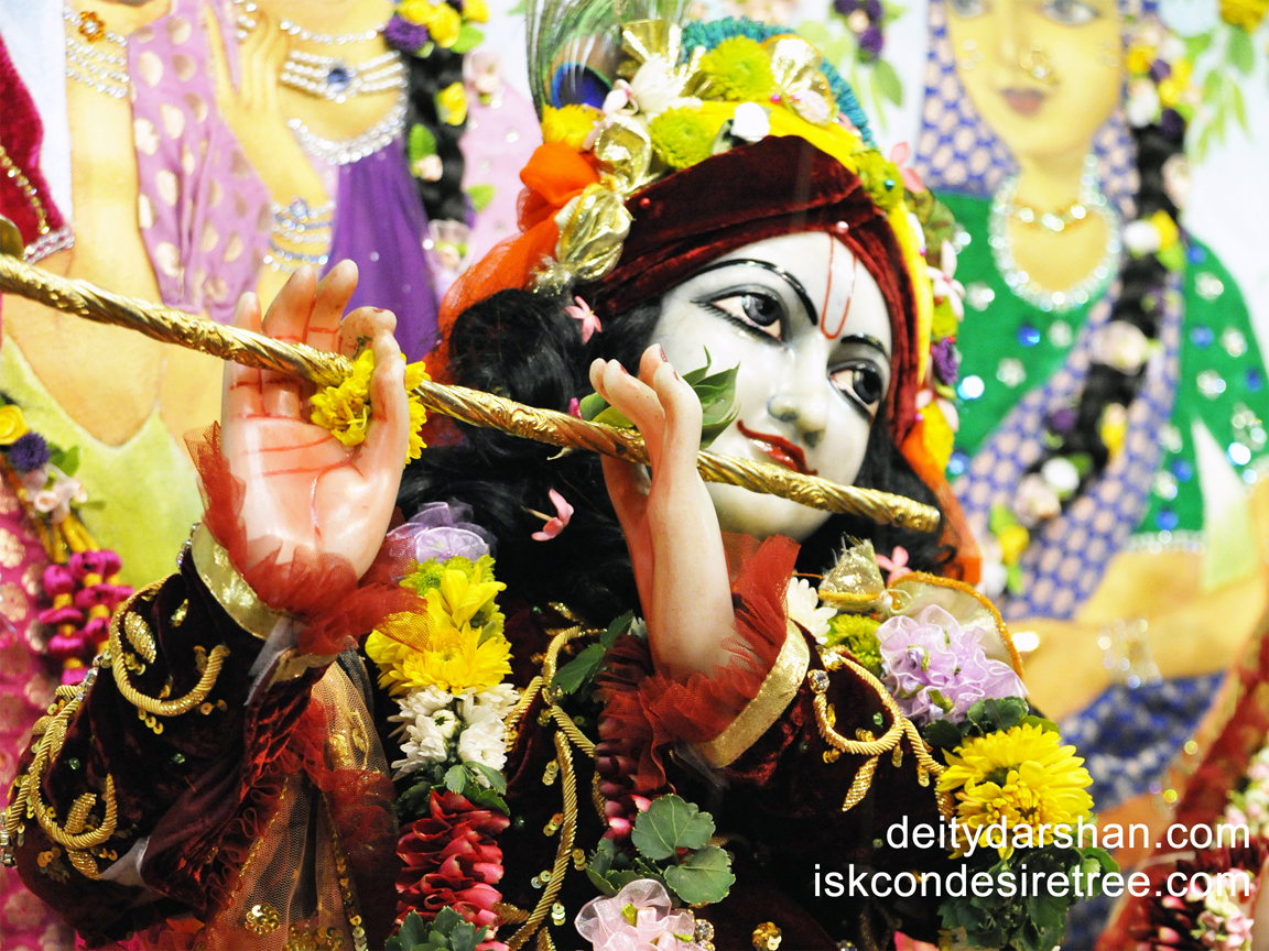 Sri Gopinath Close up Wallpaper (044) Size 1152x864 Download