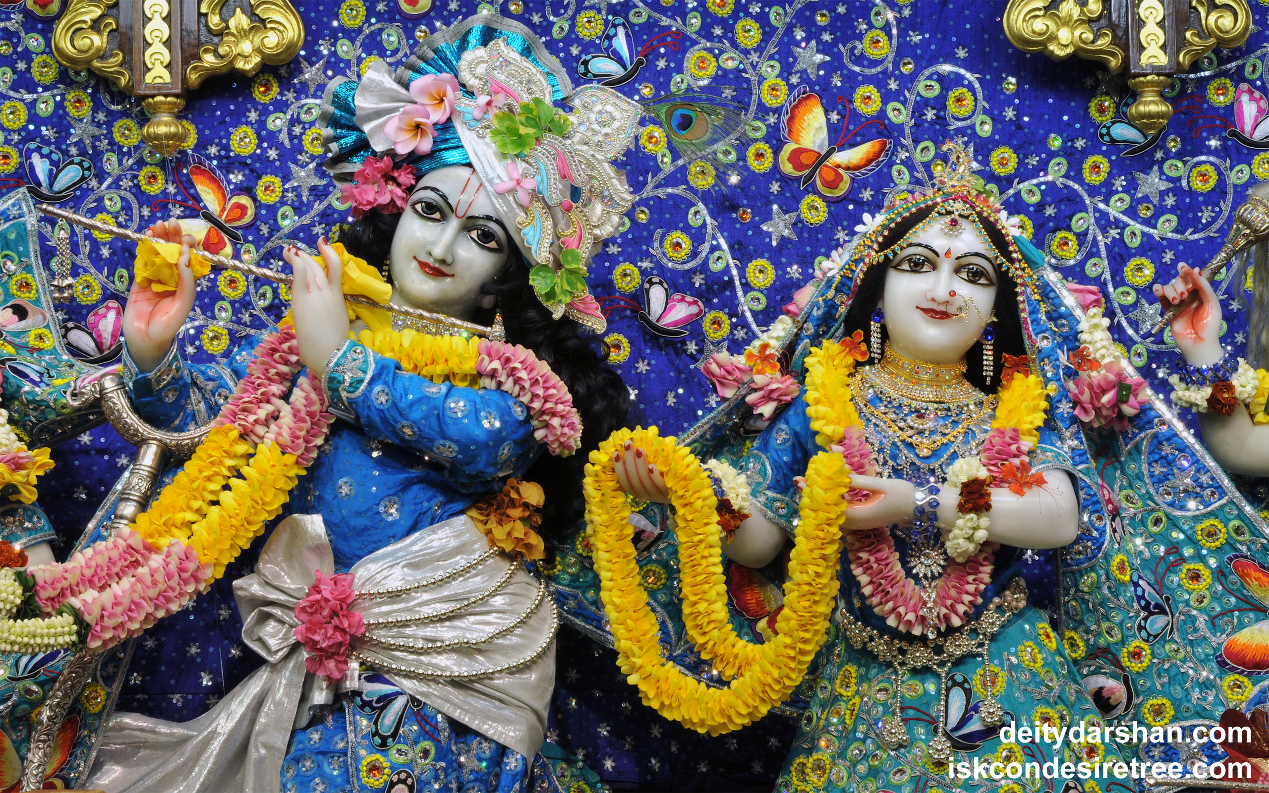 Sri Sri Radha Gopinath Close up Wallpaper (044) Size 2560x1600 Download