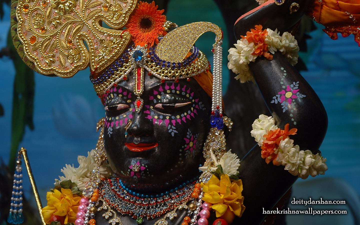 Sri Gopal Close up Wallpaper (045) Size 1440x900 Download