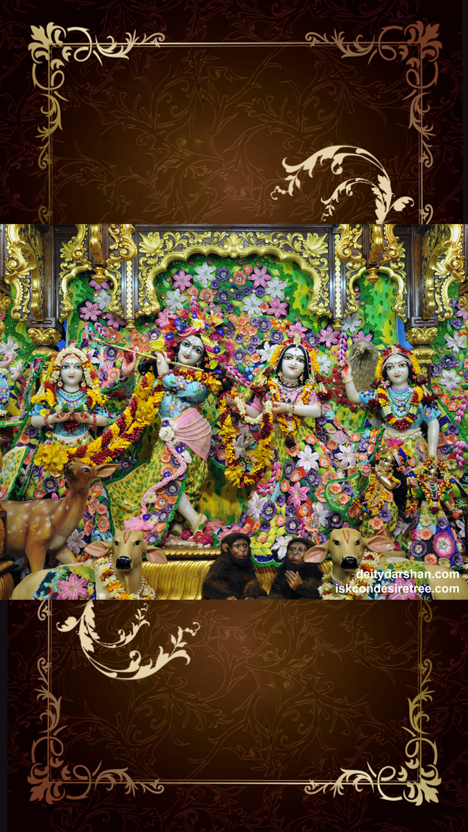 Sri Sri Radha Gopinath Lalita Vishakha Wallpaper (045) Size 675x1200 Download