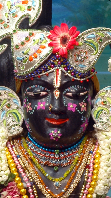 Sri Gopal Close up Wallpaper (046) Size 450x800 Download