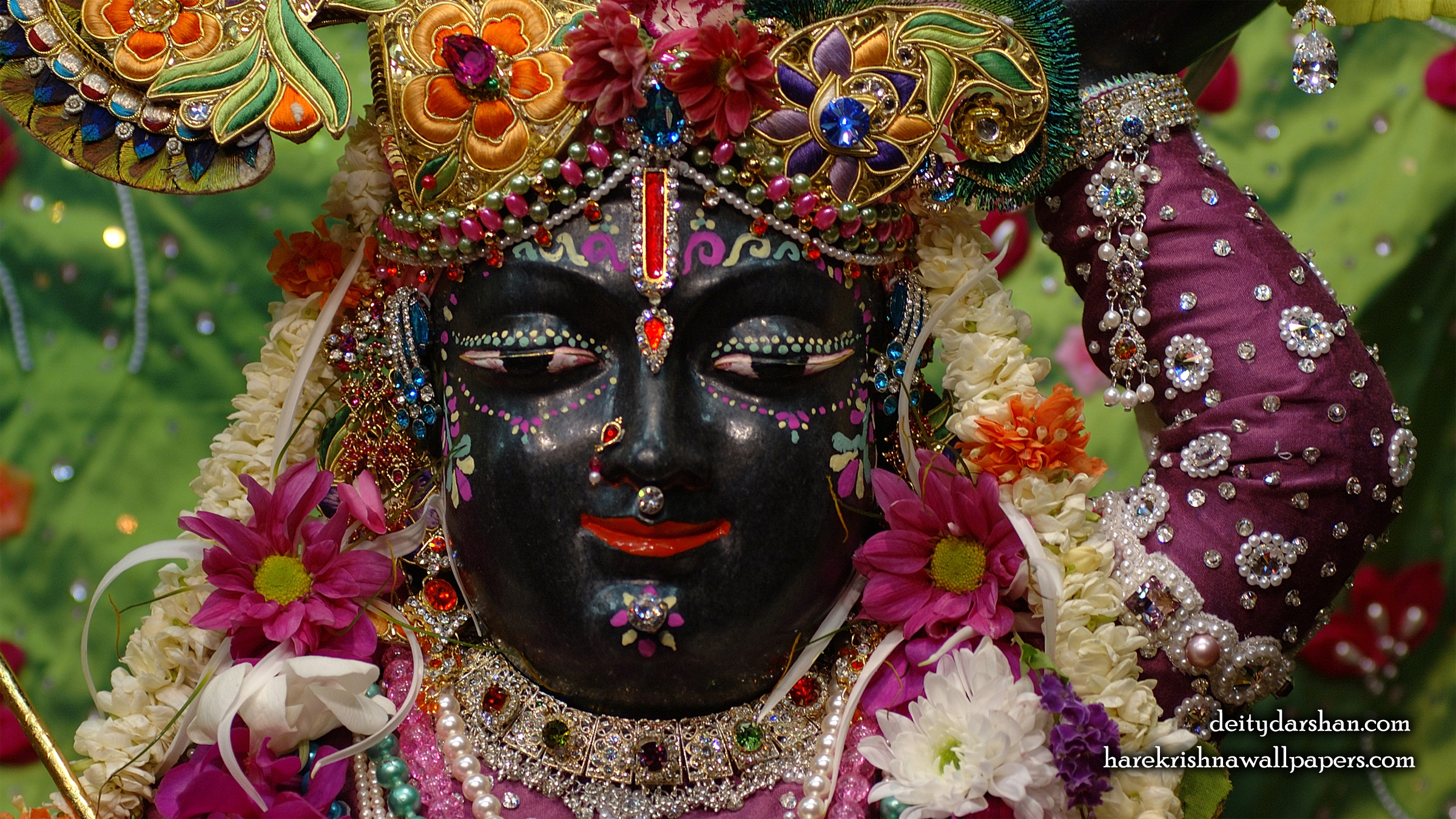 Sri Gopal Close up Wallpaper (047) Size 2400x1350 Download