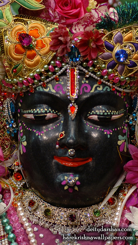 Sri Gopal Close up Wallpaper (047) Size 450x800 Download