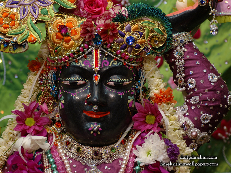 Sri Gopal Close up Wallpaper (047) Size 800x600 Download