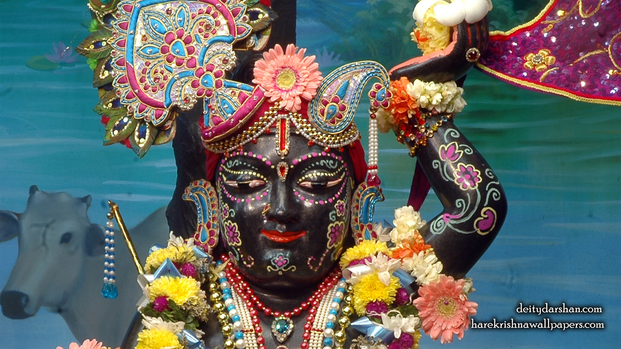 Sri Gopal Close up Wallpaper (048) Size1280x720 Download