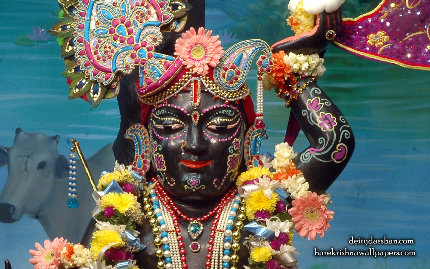 Sri Gopal Close up Wallpaper (048) Size 1440x900 Download