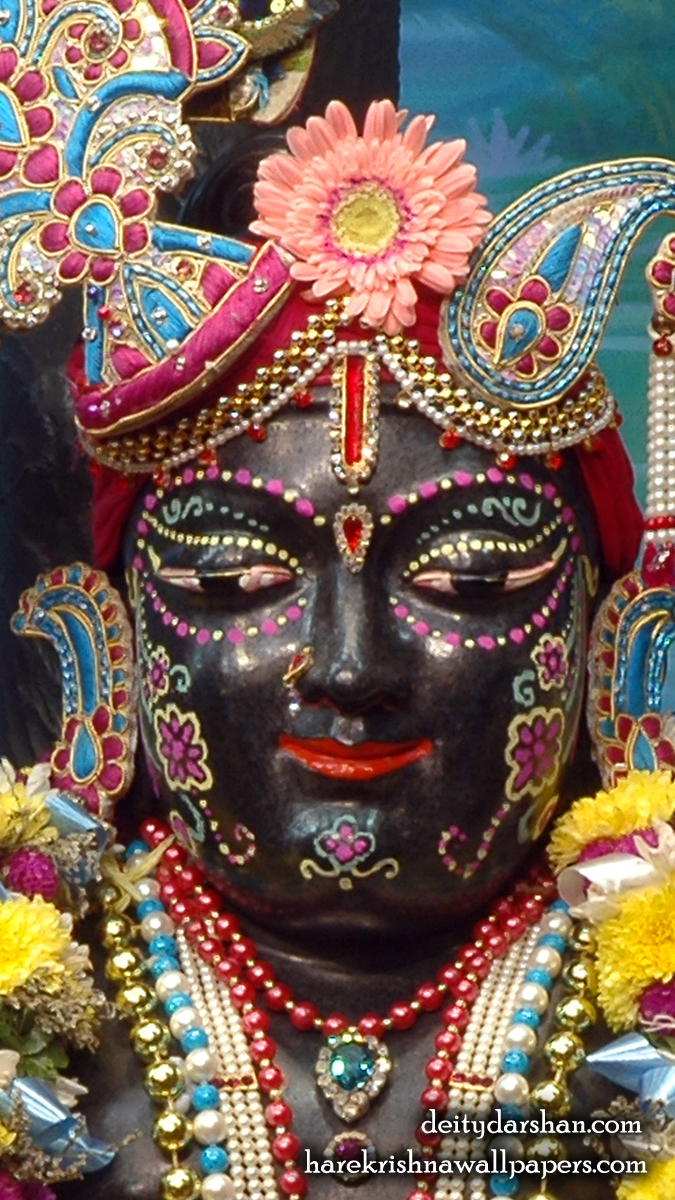Sri Gopal Close up Wallpaper (048) Size 675x1200 Download