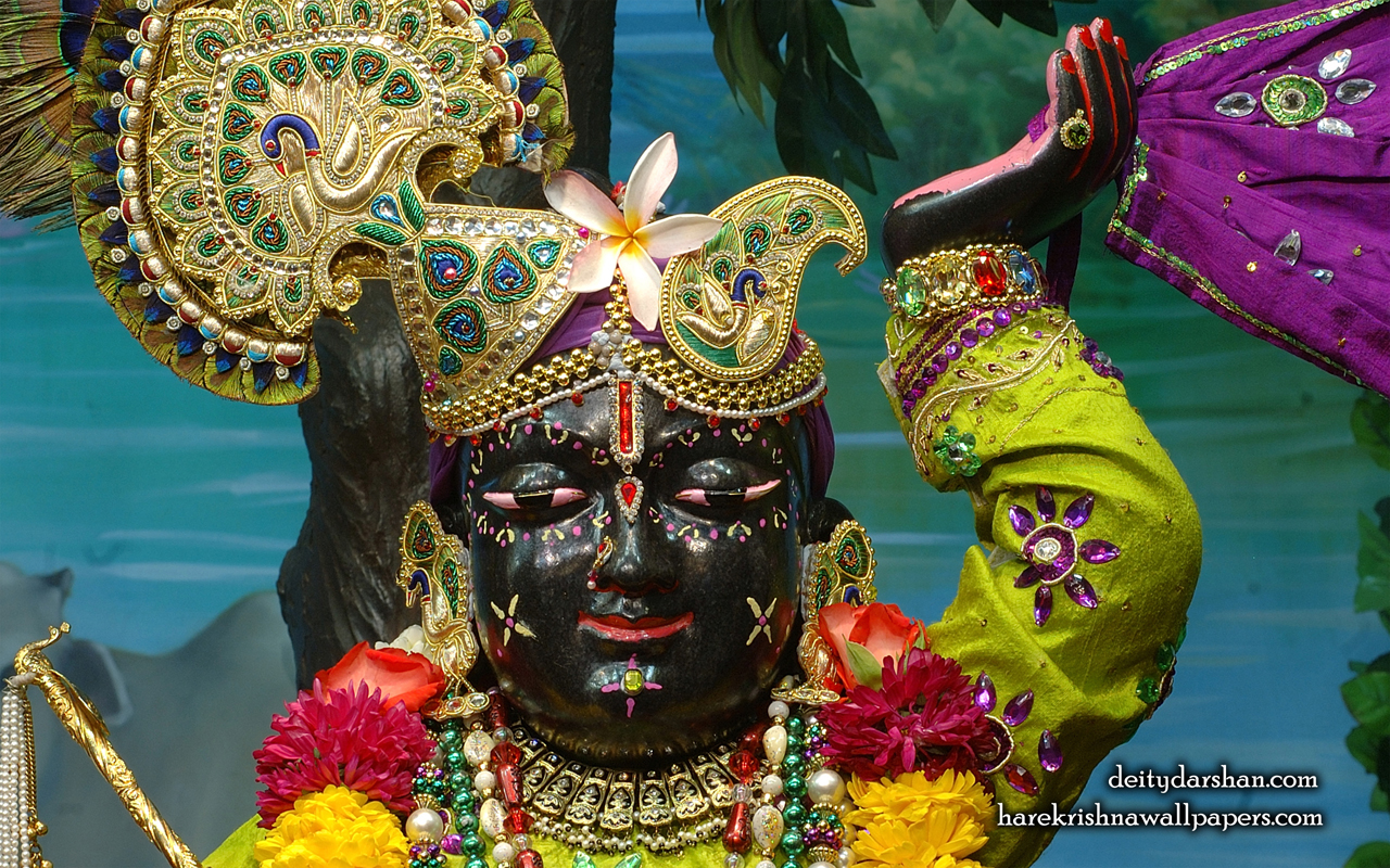 Sri Gopal Close up Wallpaper (049) Size 1280x800 Download