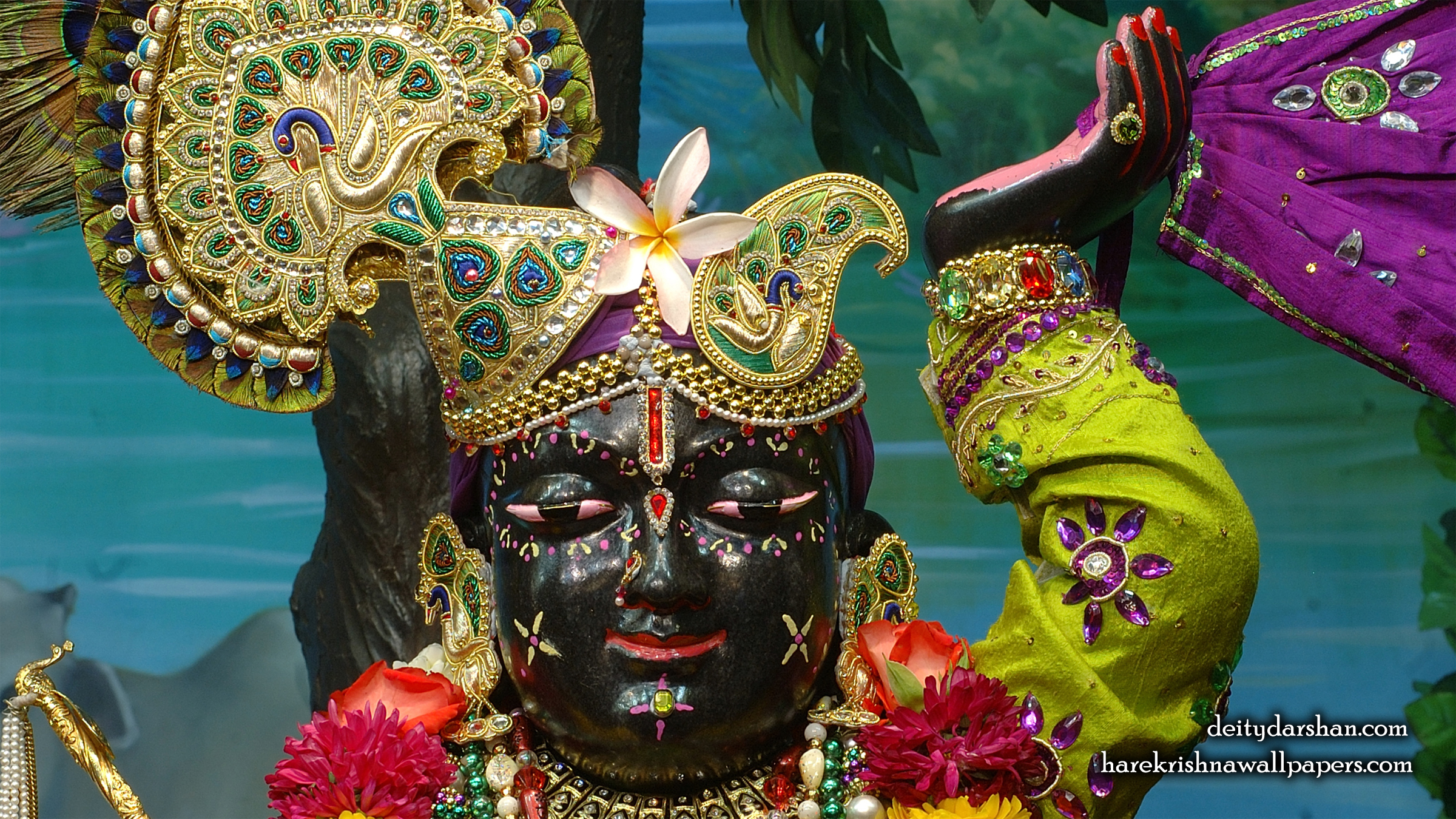 Sri Gopal Close up Wallpaper (049) Size 2400x1350 Download