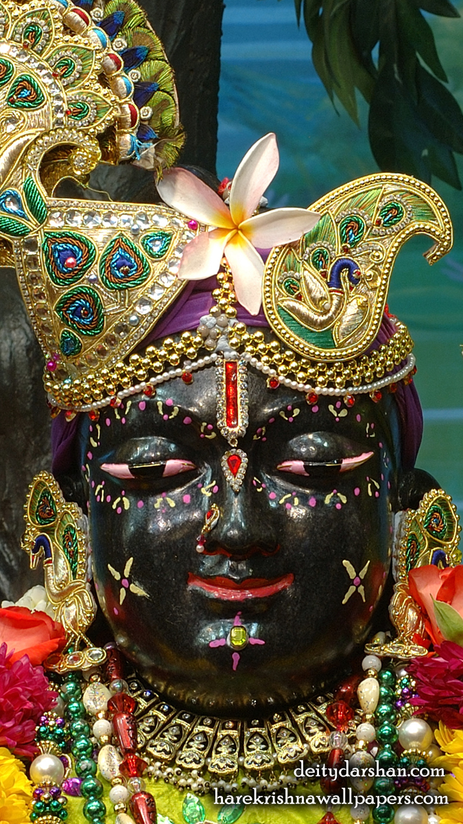 Sri Gopal Close up Wallpaper (049) Size 675x1200 Download