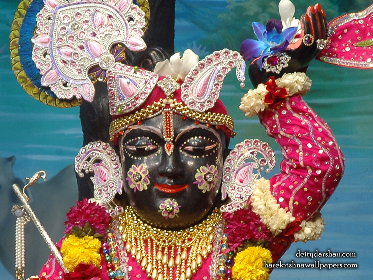 Sri Gopal Close up Wallpaper (050) Size 1280x960 Download