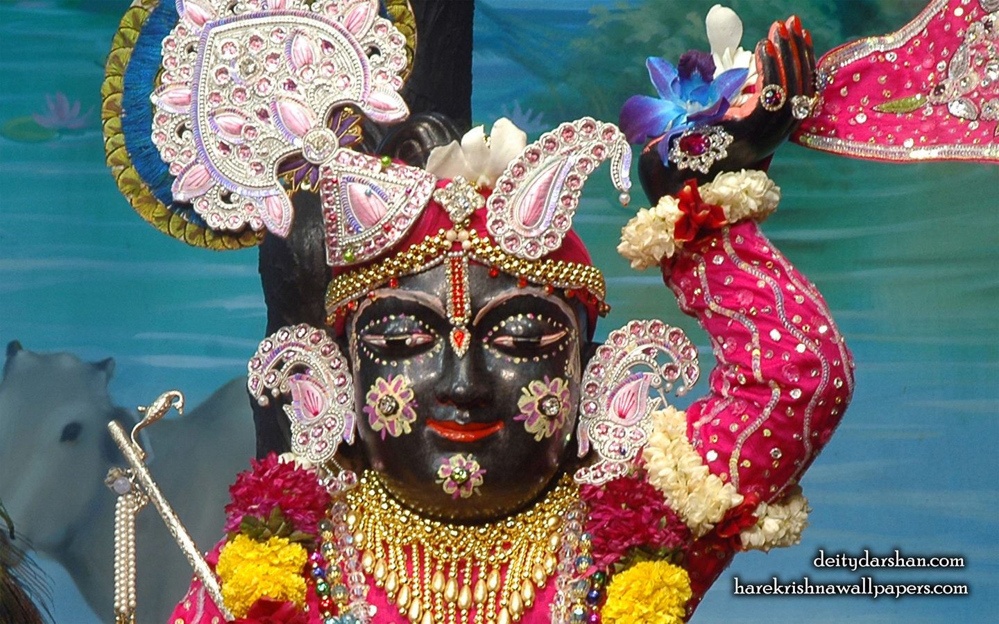 Sri Gopal Close up Wallpaper (050) Size 1440x900 Download