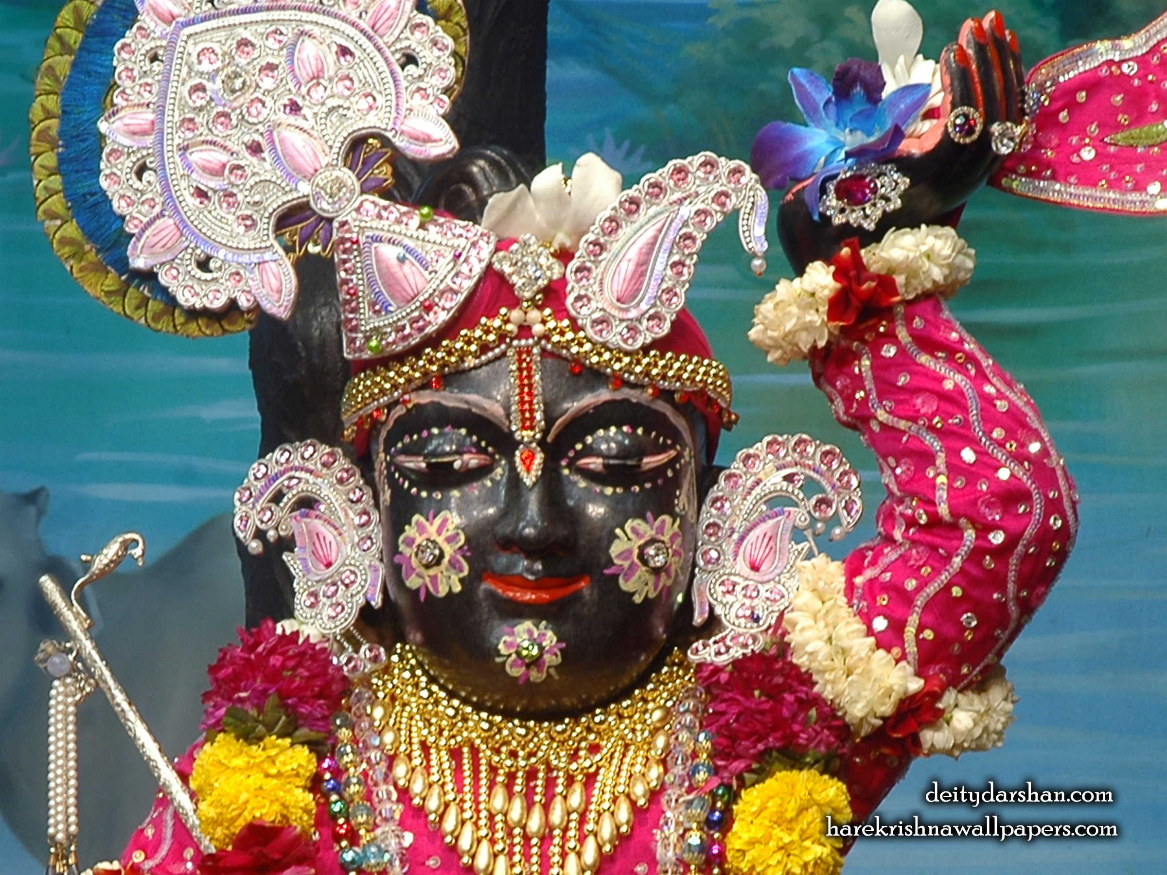 Sri Gopal Close up Wallpaper (050) Size 2400x1800 Download