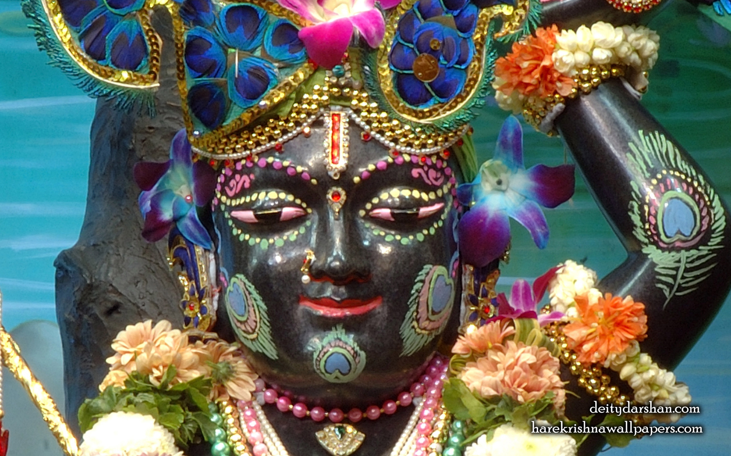 Sri Gopal Close up Wallpaper (051) Size 1440x900 Download
