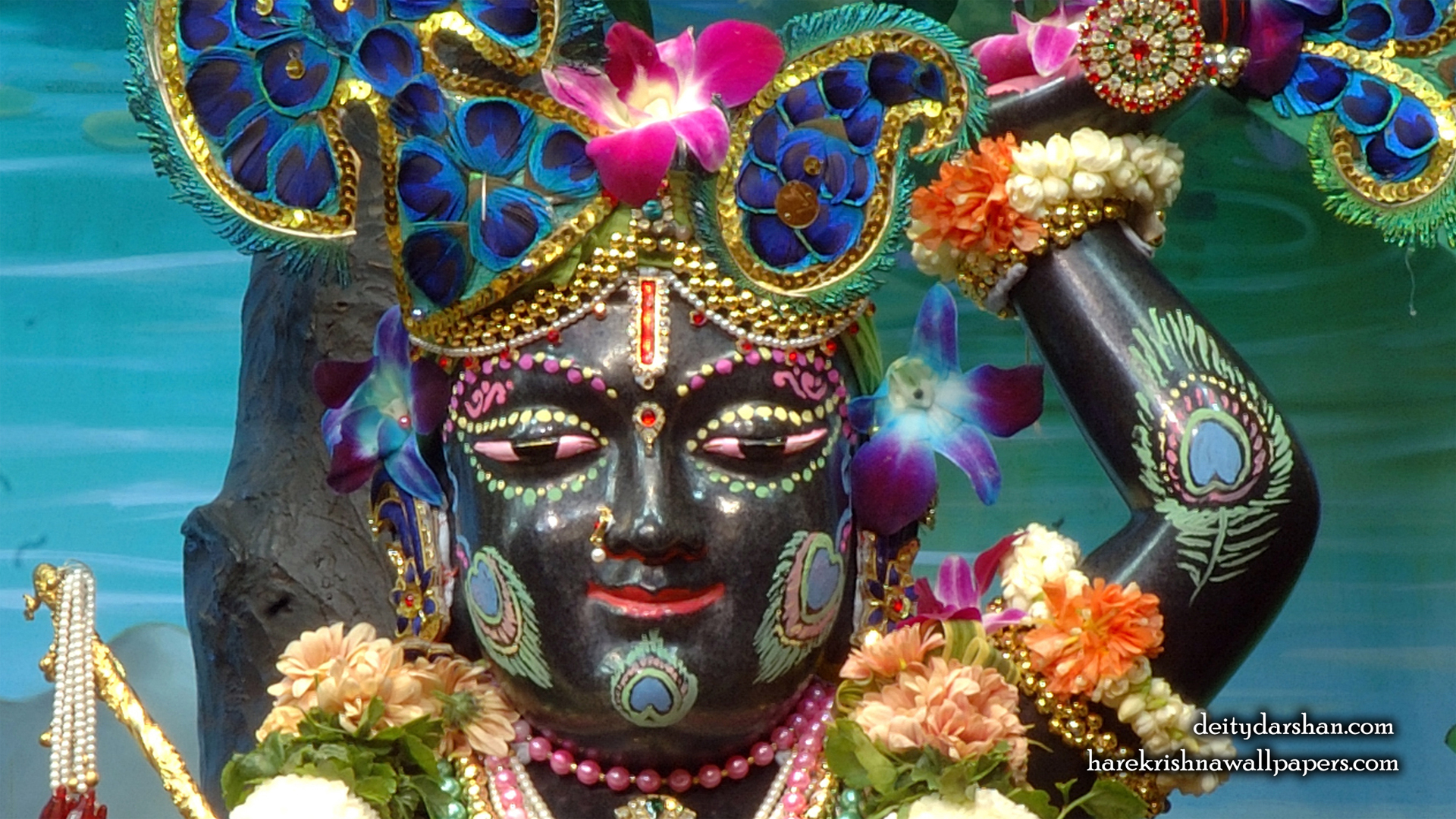 Sri Gopal Close up Wallpaper (051) Size 1920x1080 Download