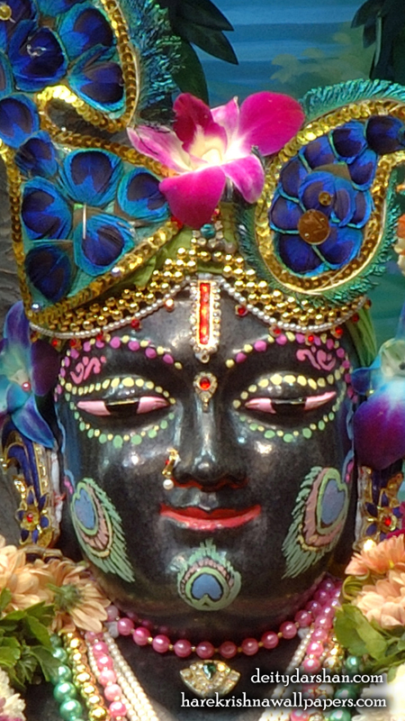 Sri Gopal Close up Wallpaper (051) Size 450x800 Download