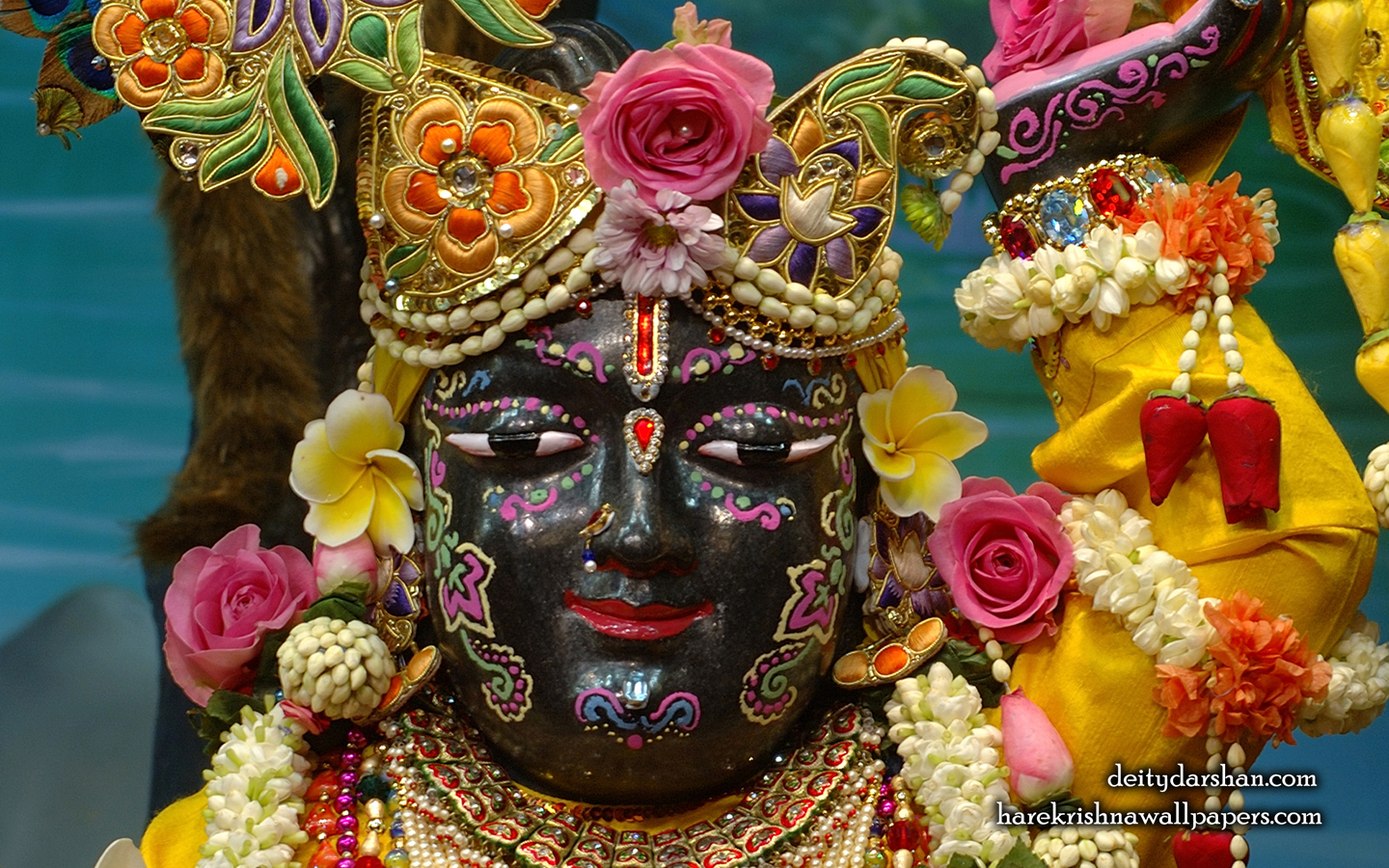 Sri Gopal Close up Wallpaper (052) Size 1440x900 Download