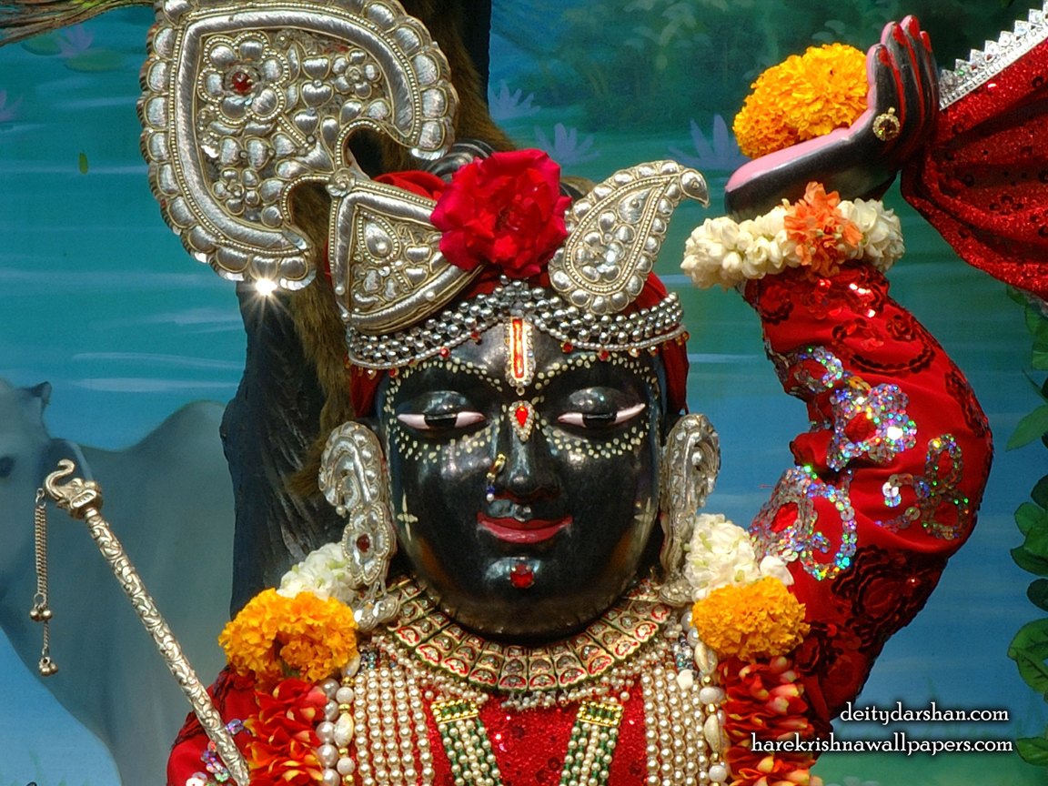 Sri Gopal Close up Wallpaper (053) Size 1152x864 Download