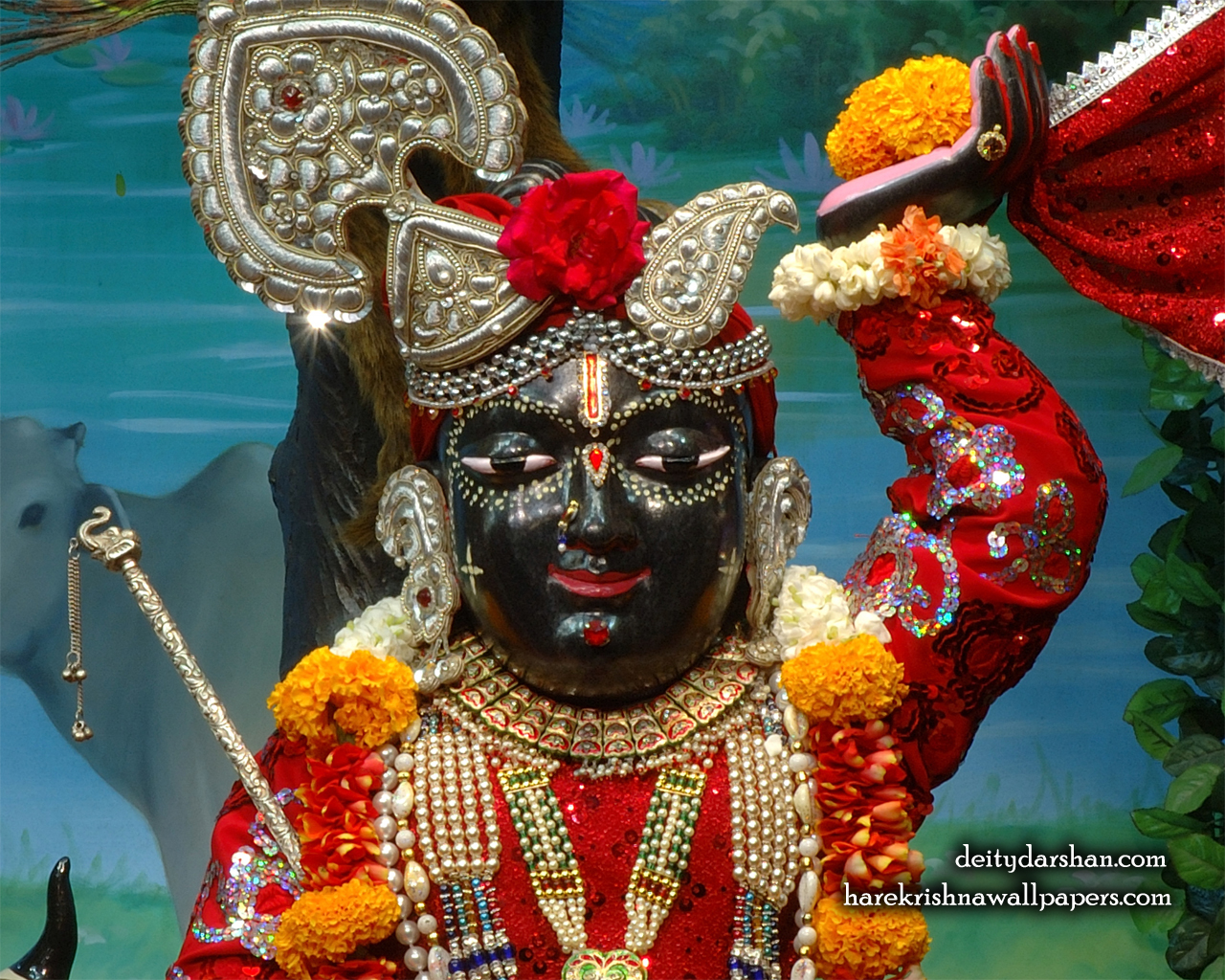 Sri Gopal Close up Wallpaper (053) Size 1280x1024 Download