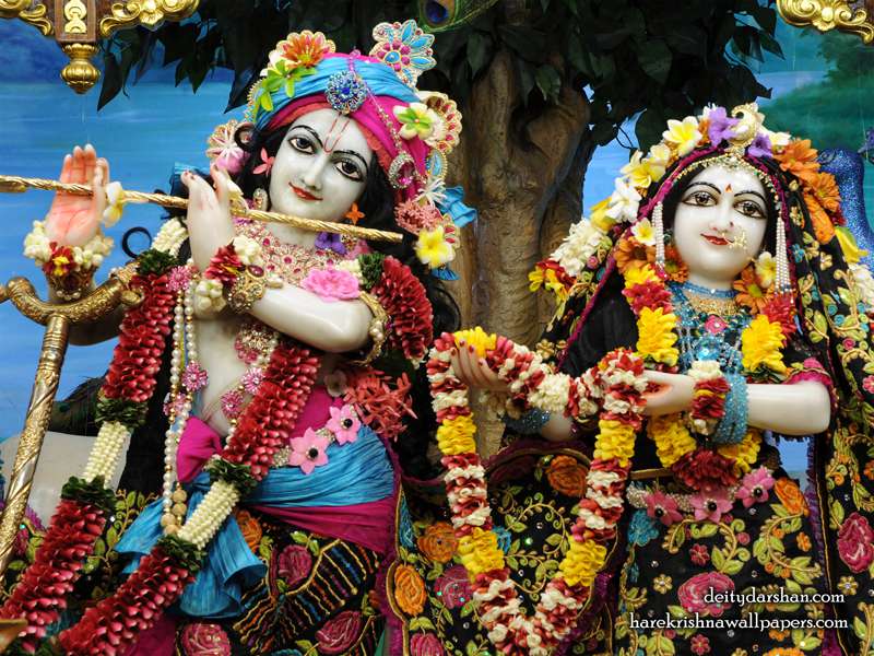 Sri Sri Radha Gopinath Close up Wallpaper, krishna Wallpapers