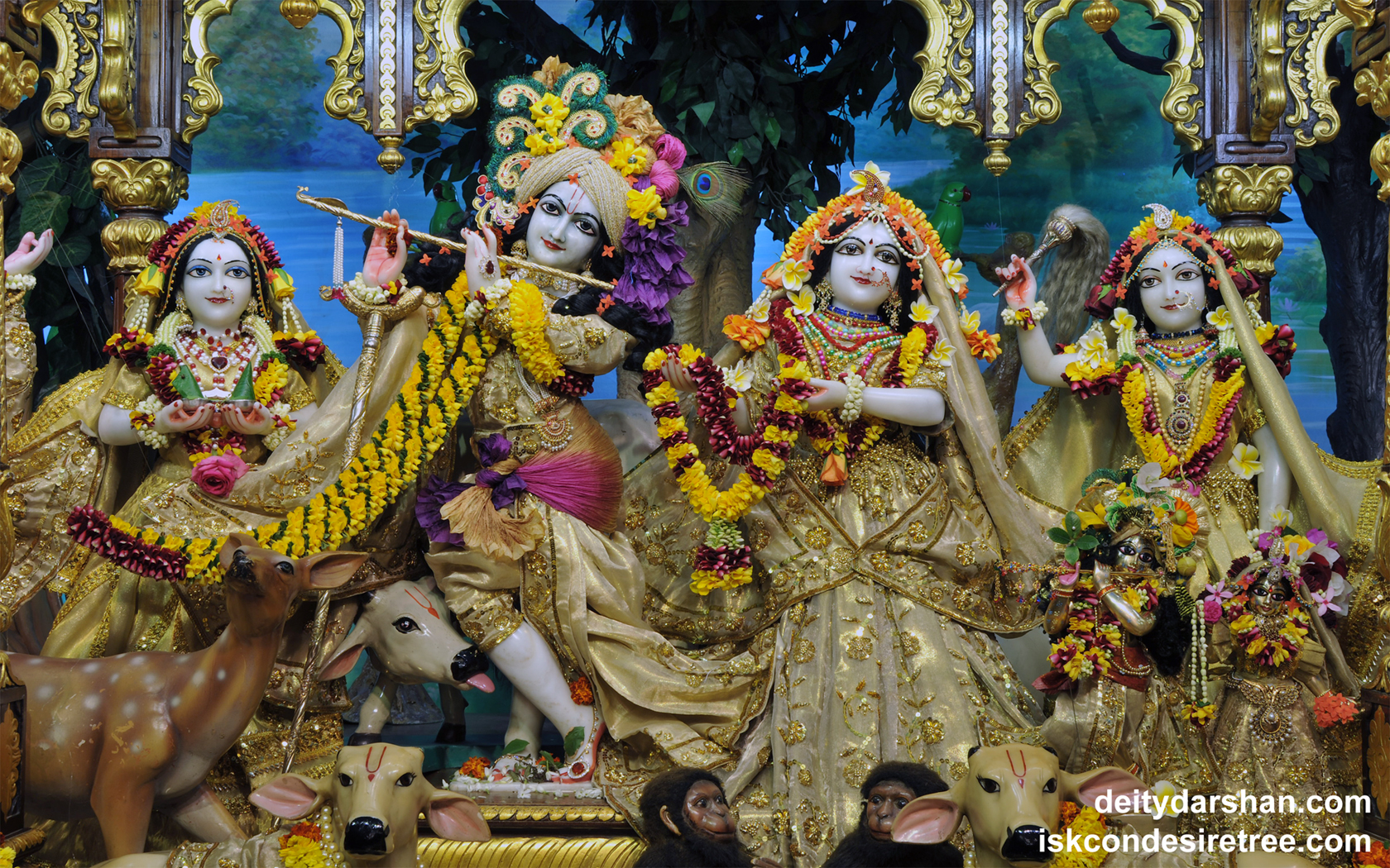 Sri Sri Radha Gopinath Lalita Vishakha Wallpaper (053) Size 1680x1050 Download