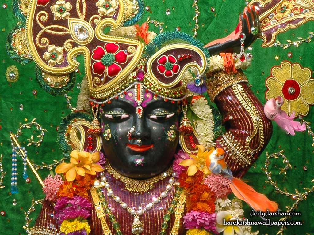 Sri Gopal Close up Wallpaper (054) Size 1024x768 Download