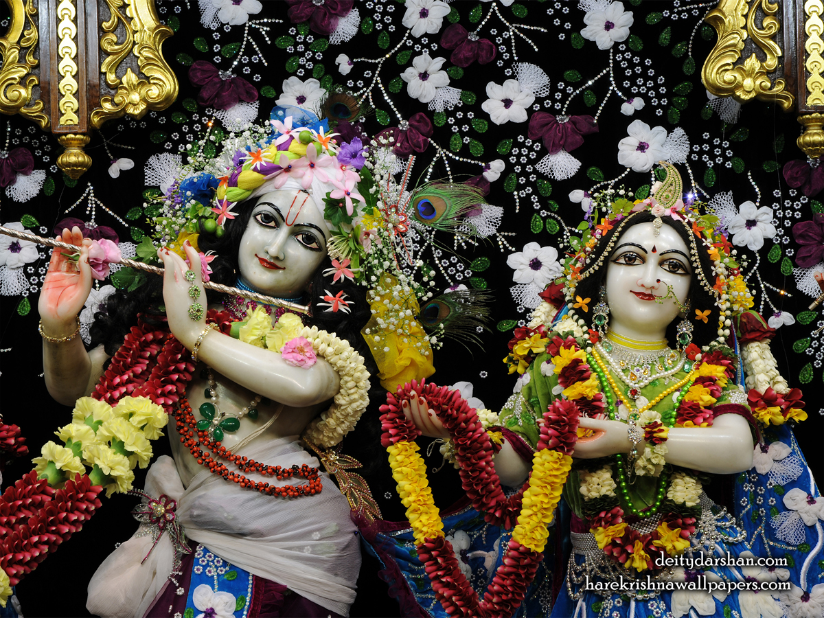 Sri Sri Radha Gopinath Close up Wallpaper (054) Size1200x900 Download