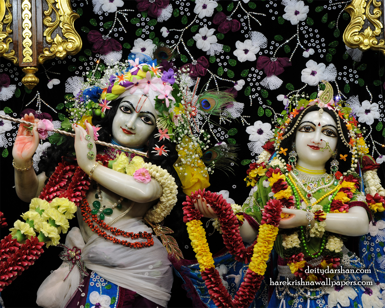 Sri Sri Radha Gopinath Close up Wallpaper (054) Size 1280x1024 Download