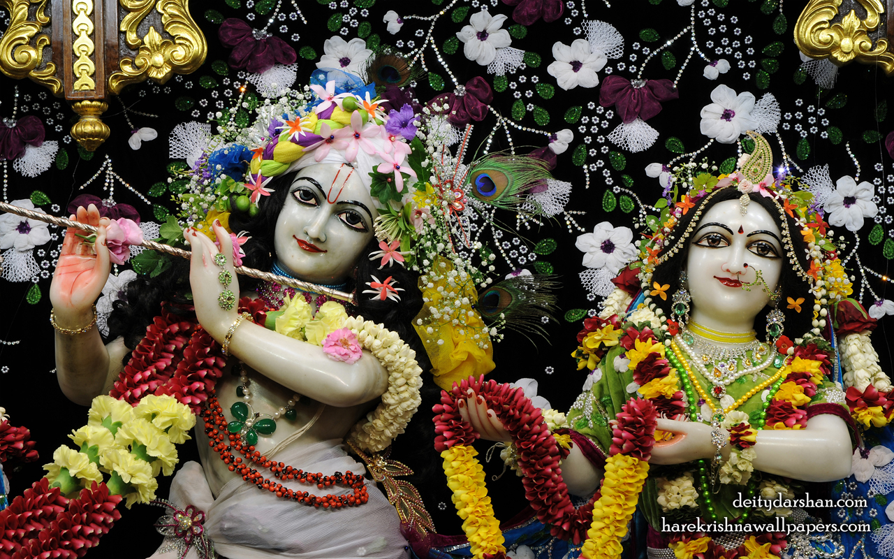 Sri Sri Radha Gopinath Close up Wallpaper (054) Size 1280x800 Download