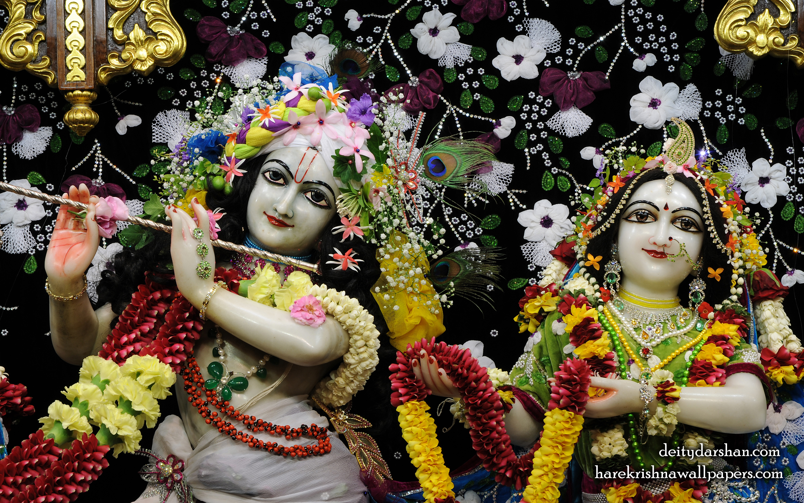 Sri Sri Radha Gopinath Close up Wallpaper (054) Size 2560x1600 Download
