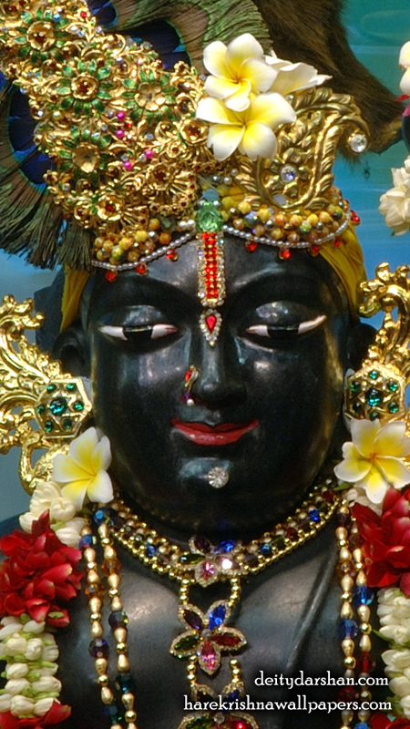 Sri Gopal Close up Wallpaper (056) Size 450x800 Download