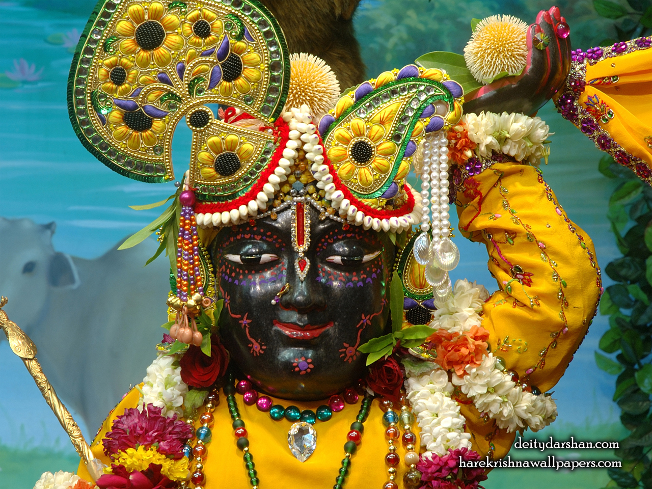 Sri Gopal Close up Wallpaper (057) Size 1280x960 Download