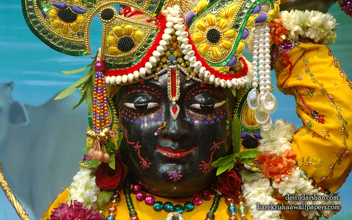 Sri Gopal Close up Wallpaper (057) Size 1440x900 Download