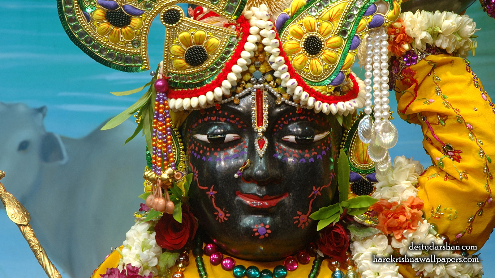 Sri Gopal Close up Wallpaper (057) Size 1600x900 Download