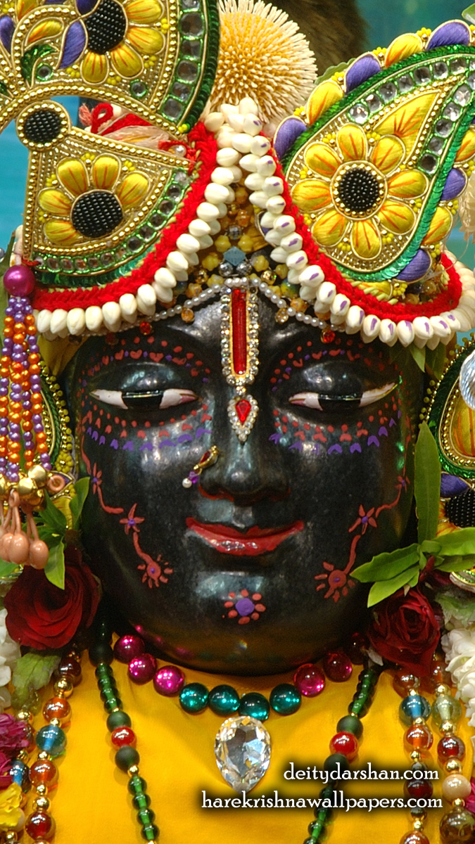 Sri Gopal Close up Wallpaper (057) Size 675x1200 Download