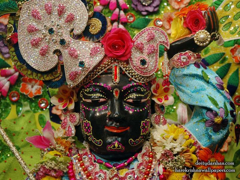 Sri Gopal Close up Wallpaper, Hare Krishna Wallpapers